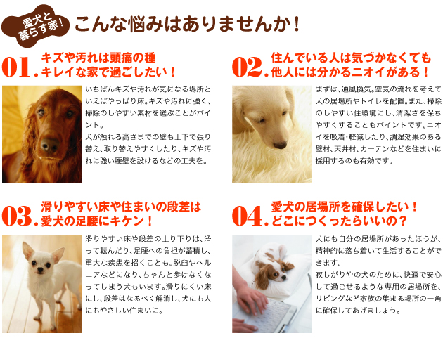 lovedog-web1.jpg