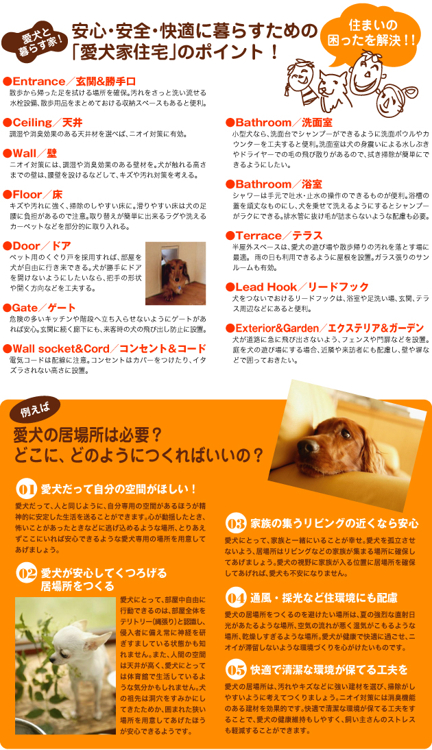 lovedog-web2.jpg