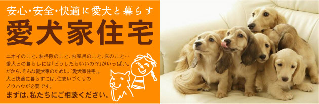 lovedog-web_t.jpg